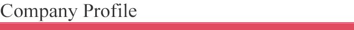 Company Profile